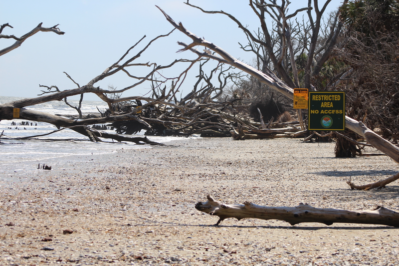 Illustration for article titled I Went to Botany Bay Plantation Yesterday